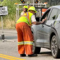 Fallen trees, bears are risks for B.C. wildfire evacuees returning home: officials