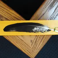 Saskatchewan provincial courts to allow use of eagle feathers when swearing oath