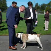 B.C. Conservatives back in battleground Surrey on election trail