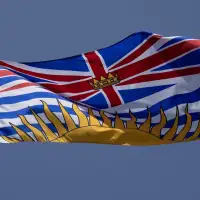 Ousted B.C. Conservative candidate Joachim Agou apologizes for posts deemed racist