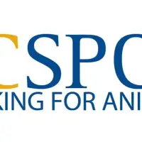 BC SPCA urges election candidates to commit to pet-friendly housing laws