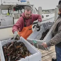 Ottawa' seafood tariffs risked the 'start down an unfortunate road,' industry warned