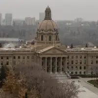 Alberta legislature member compares transgender surgery to livestock castration