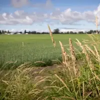 B.C. Conservatives criticize Alberta-Ottawa pipeline plan through 'vital' B.C. farmland