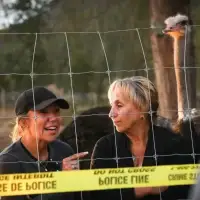 CFIA says ostrich cull will go ahead after high court decides it won't hear appeal