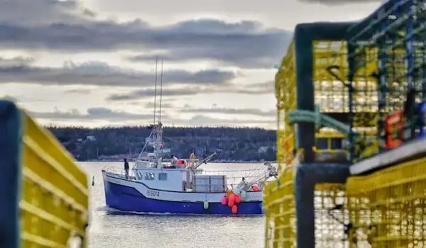 Conservative MPs question basis of 30% marine protected areas target