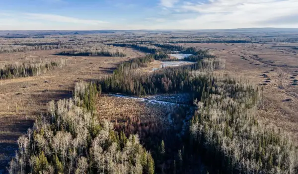 The truth about Wonder Valley, Kevin O’Leary’s data-centre dream